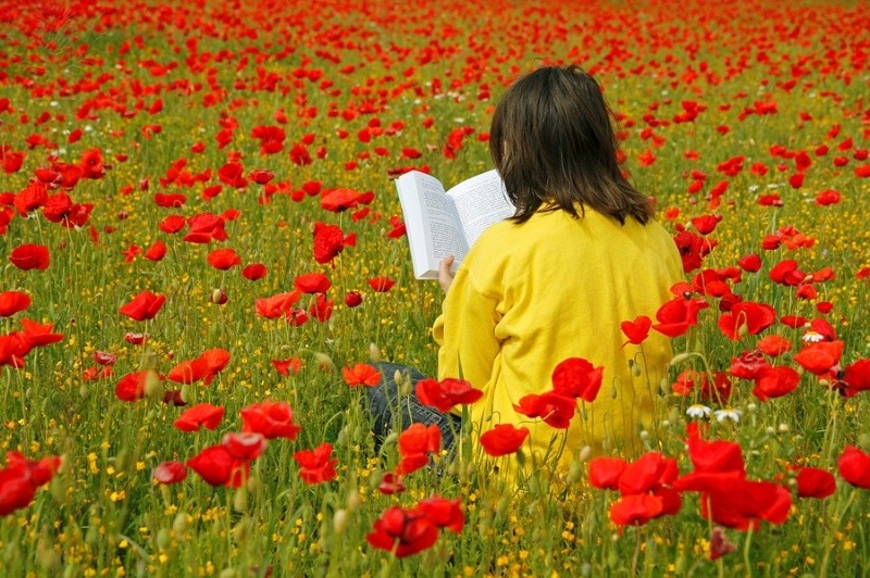 Dame som leser bok i blomstereng